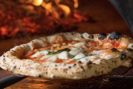 Artisanal Pizza Dough - Handling Guide